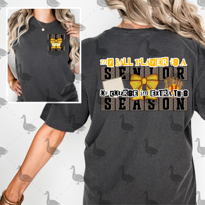 BATS AND BOWS HOME RUN COLLAB WITH DIGITAL DREAMS AND VA SERVICES