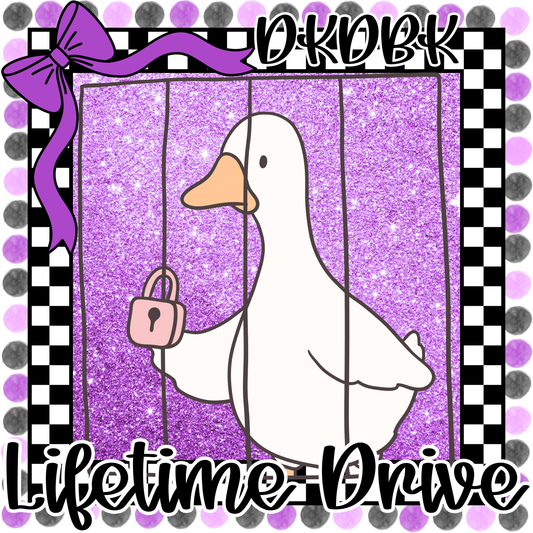 LIFETIME DRIVE