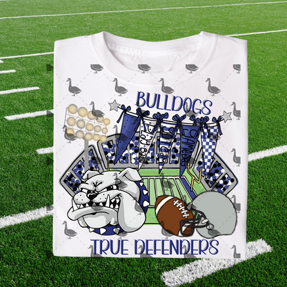 True Defenders Stadium Mascot Digital Design – Custom Mascot